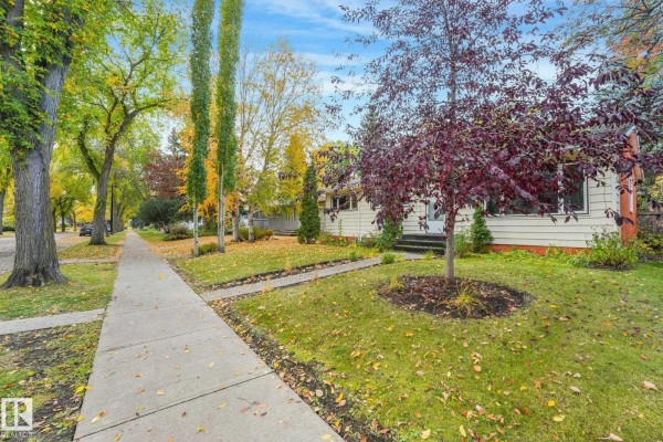 Kitchen - 9256 148 St Nw, Edmonton, AB T5R1A3 Photo 3
