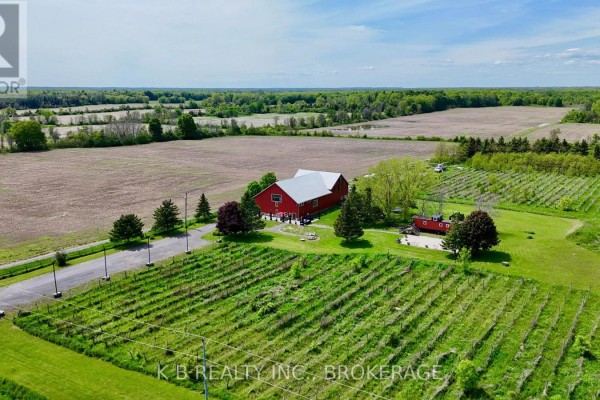 Red barn and vineyard - 9261 Loyalist Parkway Greater Napanee
