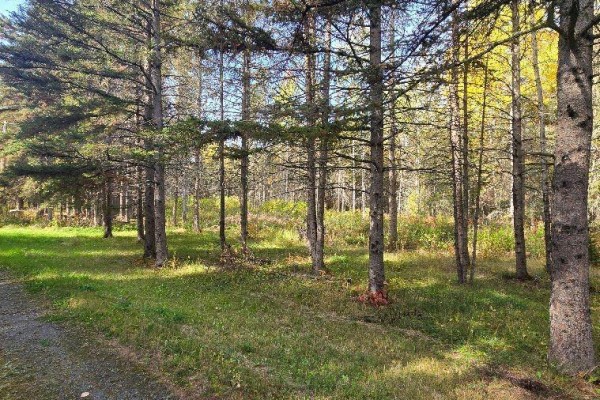 928 595 Highway, O Connor, ON P0T1W0 Photo 2