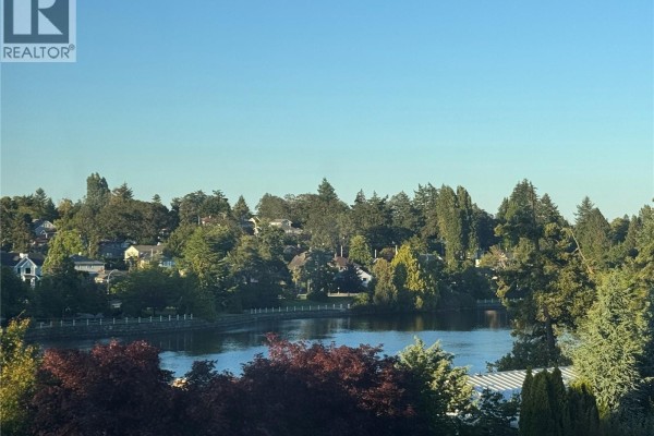 Exterior view of a grey house with a dark roof, surrounded by trees and landscaping. - 928 Mesher Pl, Esquimalt