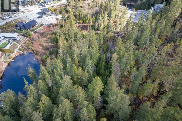 9285 Siskin Street, Whistler, BC V8E1M1 Photo 4