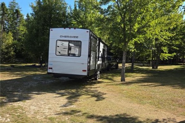 Dense green trees cover the majority of the property with patches of grass visible. - 93 Poirier Street, Grande Digue