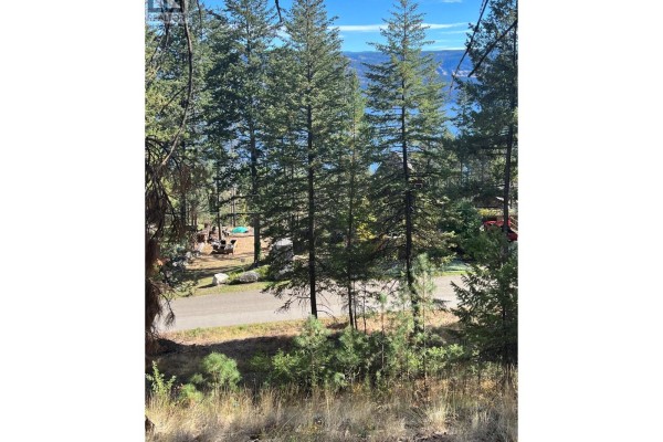 9308 Winchester Road, Vernon, BC V1T7Z3 Photo 5