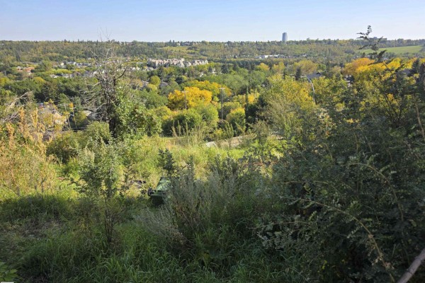 9321 101a Av Nw, Edmonton, AB T5H0C4 Photo 5