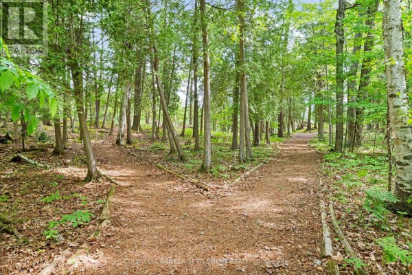 935 Mclaren Road, Tay Valley, ON, photo 2