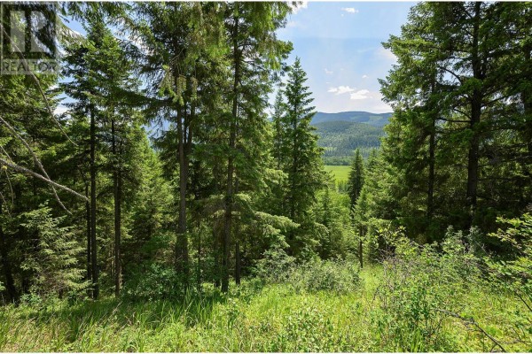 937 Clearwater Village Road, Clearwater, BC, photo 2