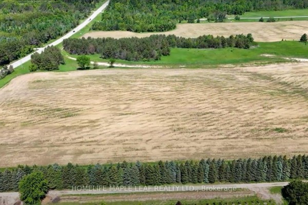Expansive agricultural fields and tree lines under a bright sky. - 938433 And 938453 Airport Road, Mulmur