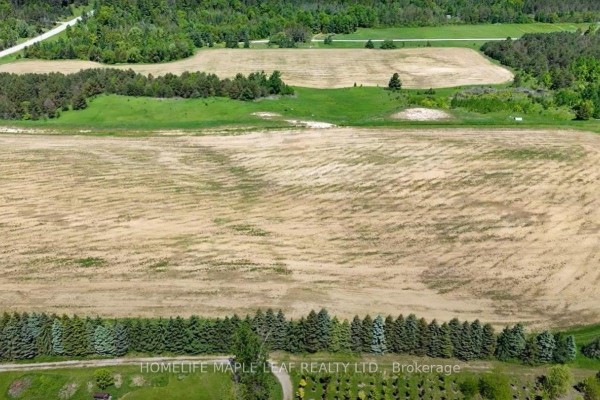 Overhead view of patterned fields surrounded by green trees and landscape. - 938433 And 938453 Airport Road, Mulmur