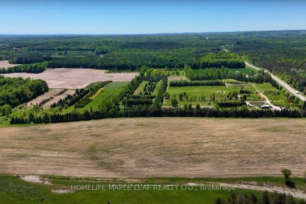 Panoramic aerial view of rolling hills, fields, and wooded areas. - 938433 And 938453 Airport Road, Mulmur