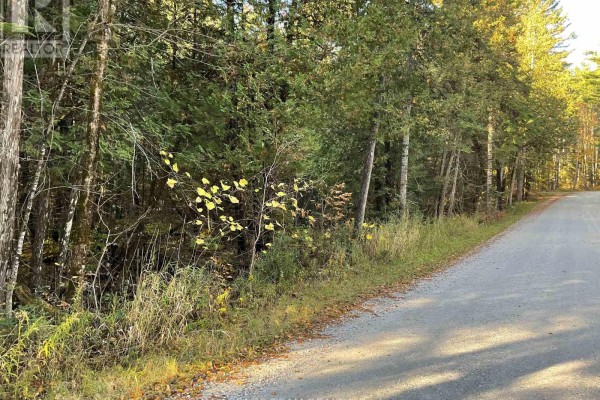 939 Darling Road, Lanark Highlands, ON K0A1P0 Photo 3