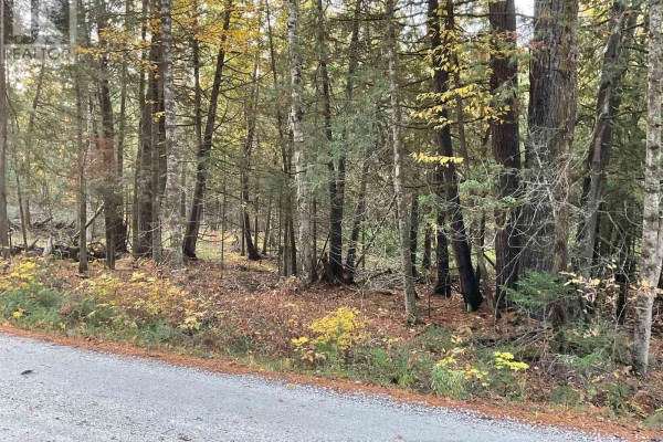939 Darling Road, Lanark Highlands, ON K0A1P0 Photo 5