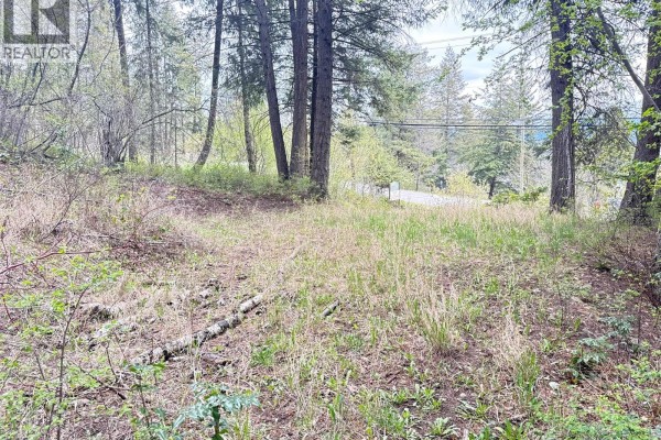 9394 Westside Road, Vernon, BC V1H2G1 Photo 3
