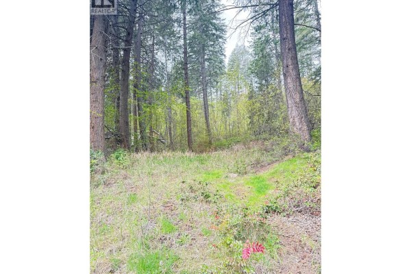 9394 Westside Road, Vernon, BC V1H2G1 Photo 4