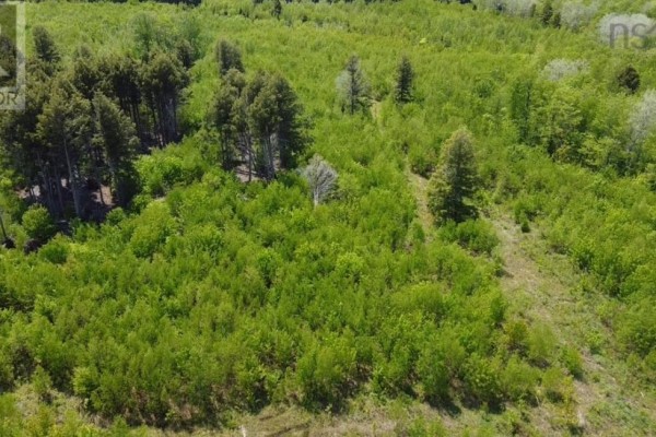 93a Junction Road, Springhill, NS B0M1X0 Photo 2