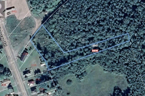 93a Junction Road, Springhill, NS B0M1X0 Photo 3