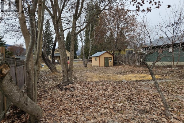 94 1st   Nw Avenue, Nakusp, BC V0G1R0 Photo 4