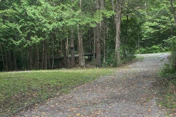 94 Everett Road, Kawartha Lakes, ON K0K1K0 Photo 4
