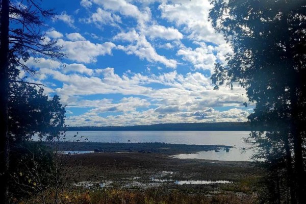 94 Mclay Drive, Assiginack, ON P0P1Z0 Photo 3