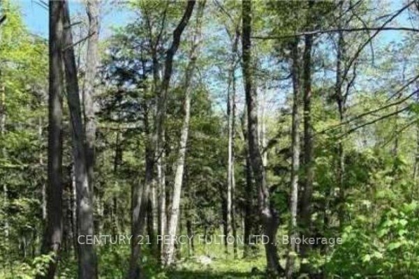 90 Nippissing Ridge Road, Tiny, ON, photo 2