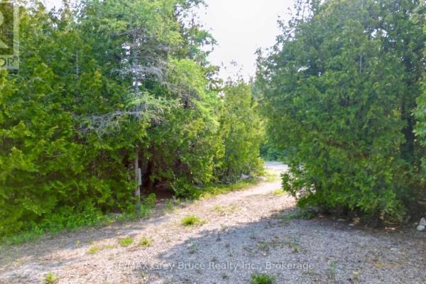 94 Pedwell Pt. Drive, Northern Bruce Peninsula, ON N0H2R0 Photo 3