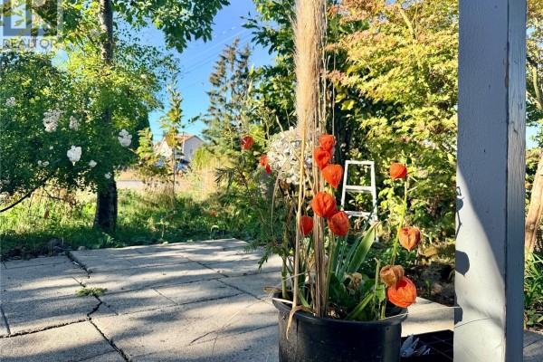 Entrance - 940 5th Ave, Ladysmith, BC V9G1A2 Photo 4