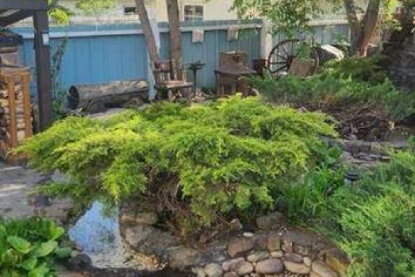 Backyard garden area with a blue fence, rustic decor, trees, and stone landscaping. - 9415 Fairmount Drive Se, Calgary