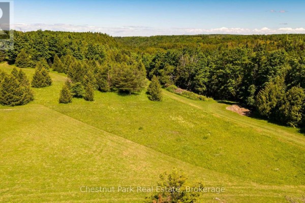 9420 Ewing Road, Clearview, ON N0C1M0 Photo 3