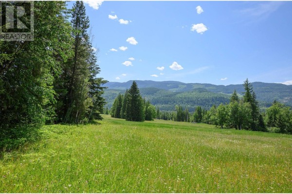 943 Raft River Road, Clearwater, BC, photo 2