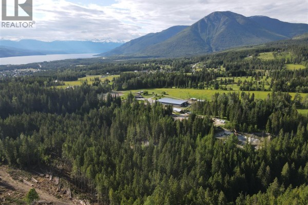 944 Guidon Road, Nakusp, BC, photo 3