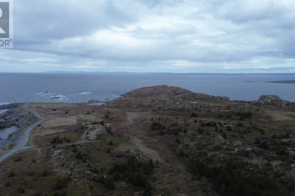 948-950 Water Street, Bay Roberts, NL A0A1G0 Photo 4