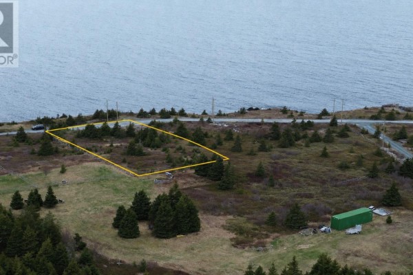 948-950 Water Street, Bay Roberts, NL A0A1G0 Photo 5