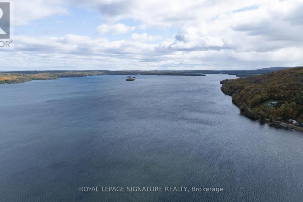 949 Lake Clear Road, Bonnechere Valley, ON K0J1T0 Photo 3