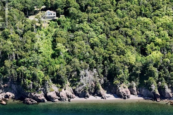 Aerial view of a house nestled on a heavily wooded hill overlooking the water. - 95 Lakeshore Drive W, Irish Cove