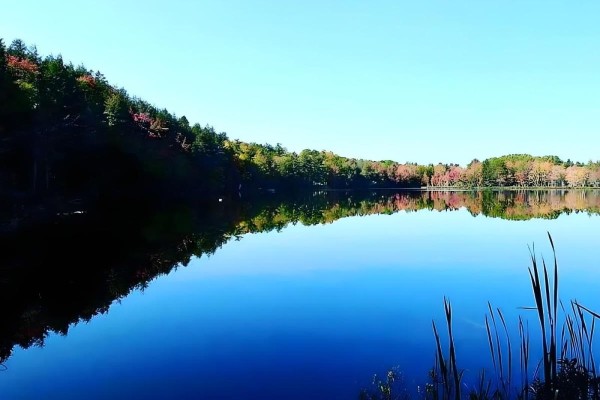 95 Natural Forest Lake Road, Upper Cornwall, NS B0R1A0 Photo 4