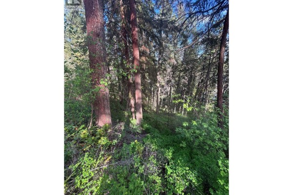 9505 Keithley Road Lot# 143, Vernon, BC V1H2E5 Photo 5