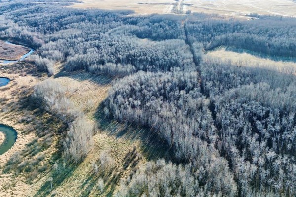 95056 119 Road W, Newdale, MB R0J1J0 Photo 4