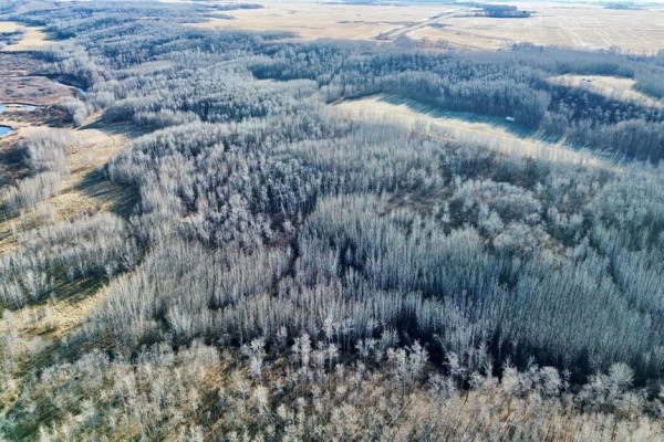 95056 119 Road W, Newdale, MB R0J1J0 Photo 5