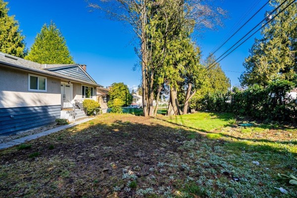 View of the yard with trees and open space behind the house - 9545 116 Street, Delta