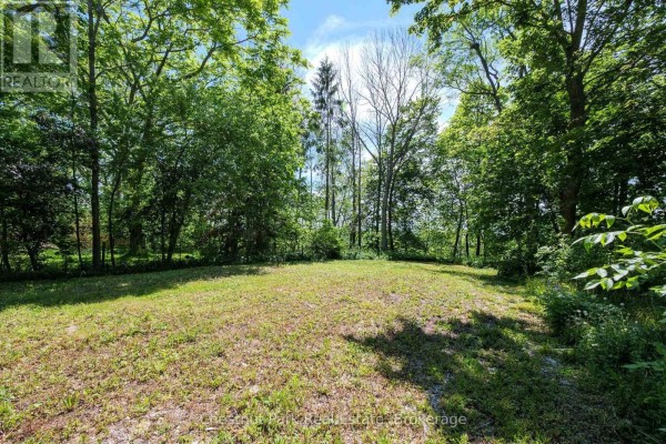 956 6th Avenue E, Owen Sound, ON N4K2V4 Photo 4