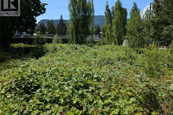 96 Cowichan Ave, Lake Cowichan, BC V0R2G0 Photo 2
