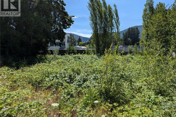 96 Cowichan Ave, Lake Cowichan, BC V0R2G0 Photo 3