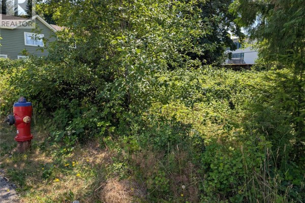 96 Cowichan Ave, Lake Cowichan, BC V0R2G0 Photo 4