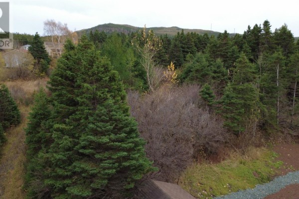 96 Marine Drive, Marystown, NL, photo 2