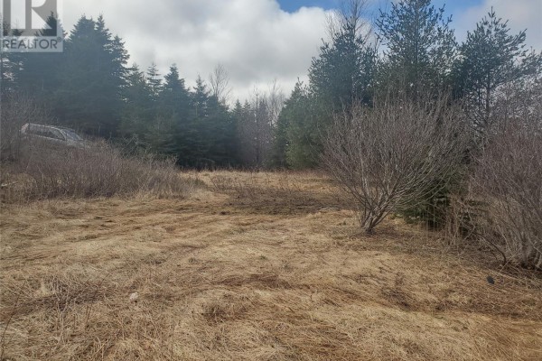 96 Marine Drive, Marystown, NL A0E2M0 Photo 4