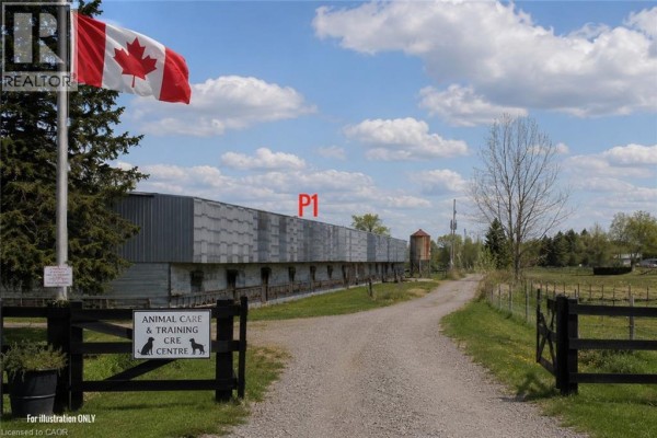 96 Second Road E, Stoney Creek, ON L8J3J2 Photo 4