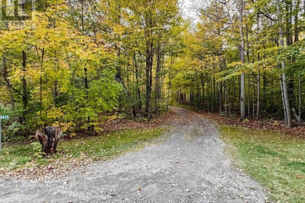 9626 Murphy Road, Clarington, ON, photo 3