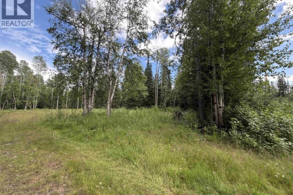 9628 Annegene Road, Prince George, BC V2K5G9 Photo 5