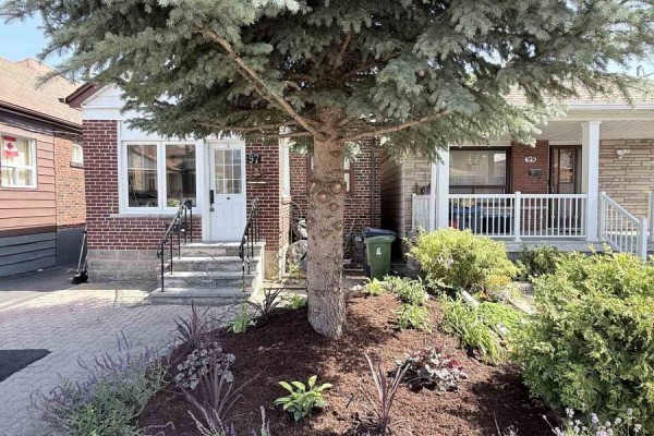 Dining room - 97 Livingstone Avenue, Toronto, ON M6E2L7 Photo 2