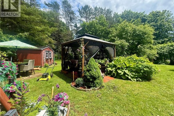 Gazebo and shed in a lush backyard with a lawn mower and potted flowers in the foreground. - 97 Main Street, St George