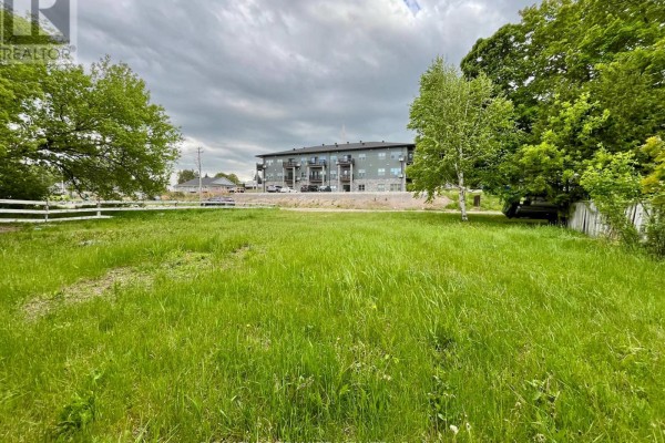 97 Queen Street, Bonnechere Valley, ON K0J1T0 Photo 4